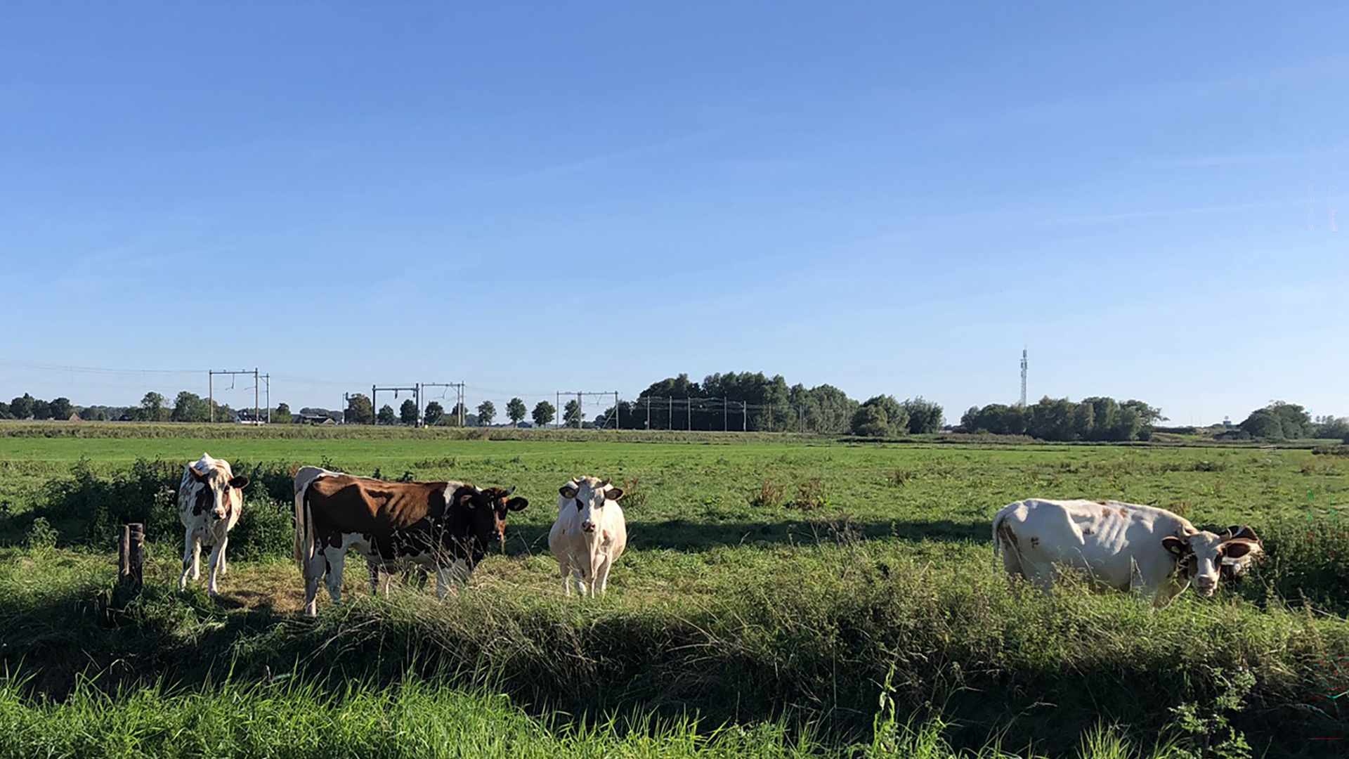 Belasting Zware Motorrijtuigen nu al terug te vragen